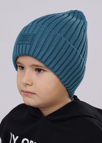 Шапка детская 523467ха