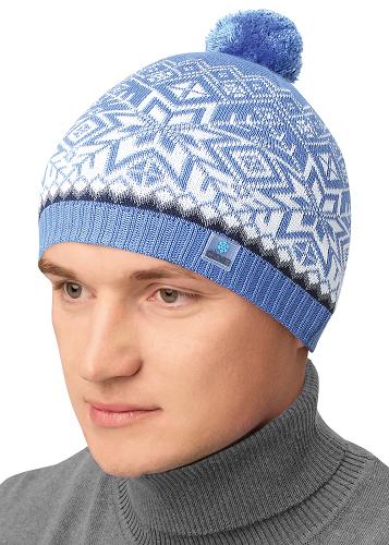 Шапка мужская 461223аш