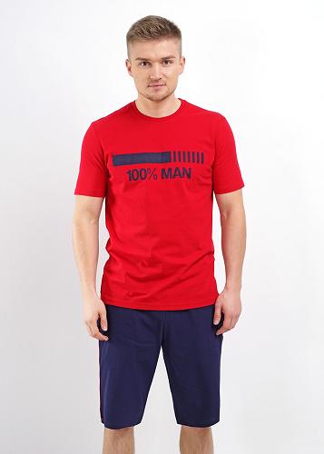 Футболка мужская 609029/1пНКв